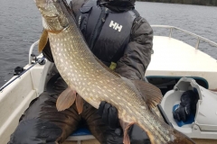 carafin-pike-fishing-003