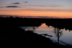 Pink sunset carafin